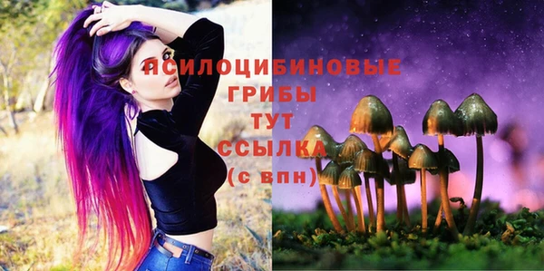 гашиш Нефтекумск