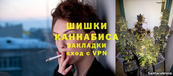 дурь Нея