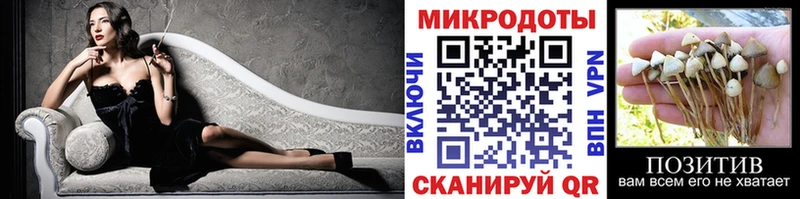 наркошоп  Холм  Галлюциногенные грибы прущие грибы 